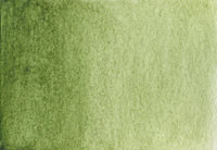 Green Water Color