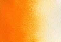 Orange Water Color