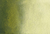 Green Water Color