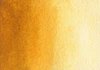 Orange Water Color