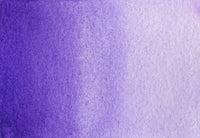 Purple Water Color