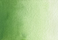 Green Water Color